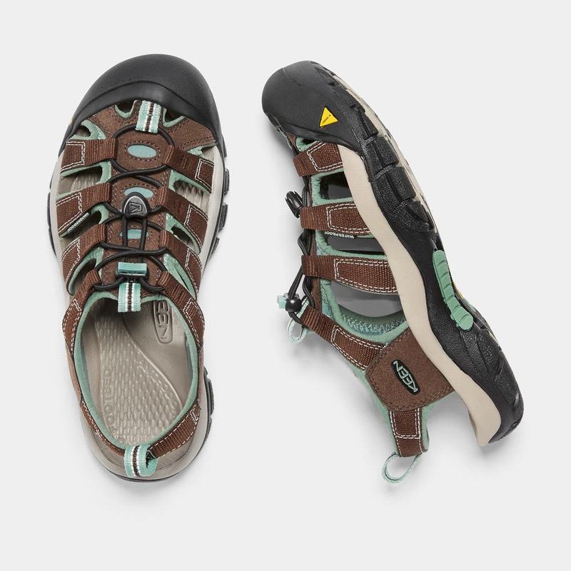 Keen Newport H2 Womens Hiking Sandals Brown/Turquoise Factory Outlet NZ (3659-EPKRB)